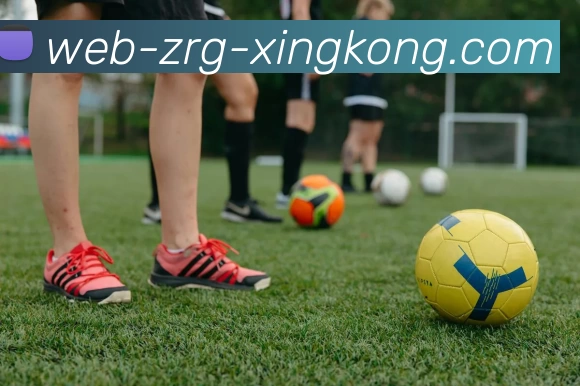 星空娱乐官网登录平台生态图